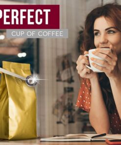 Skeclips i rustfrit stål - sæt til 3