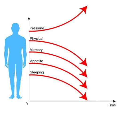 Akupunktur Massage Yogamåtte - Image 4