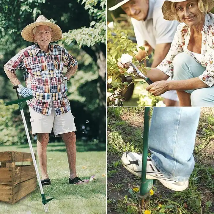 Værktøj til fjernelse af stående planterod - Image 7