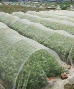 Barriere skadedyrsbekæmpelse