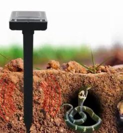 Eco Solar Have Protector