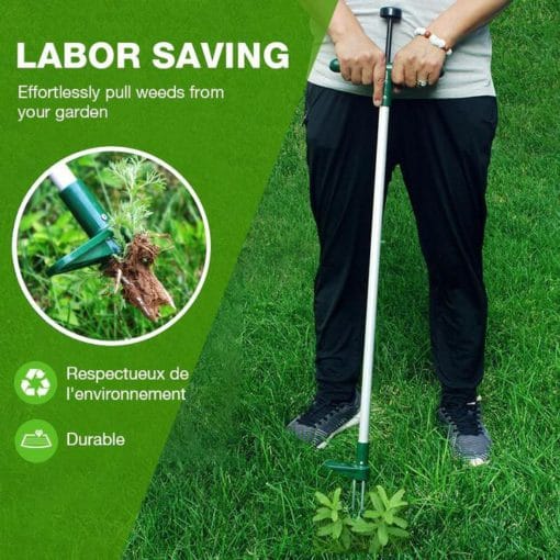 Værktøj til fjernelse af stående planterod